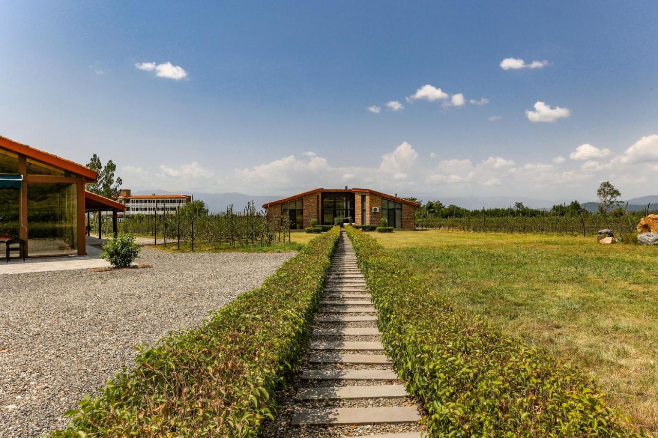 Chateau Artwine Art'ana Ngoại thất bức ảnh